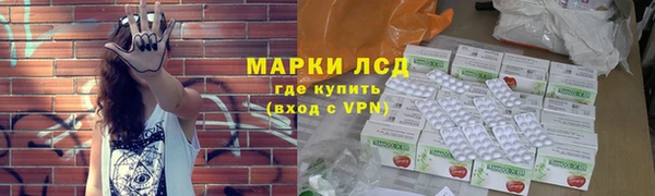 ПСИЛОЦИБИНОВЫЕ ГРИБЫ Баксан