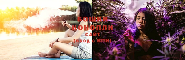 ПСИЛОЦИБИНОВЫЕ ГРИБЫ Баксан